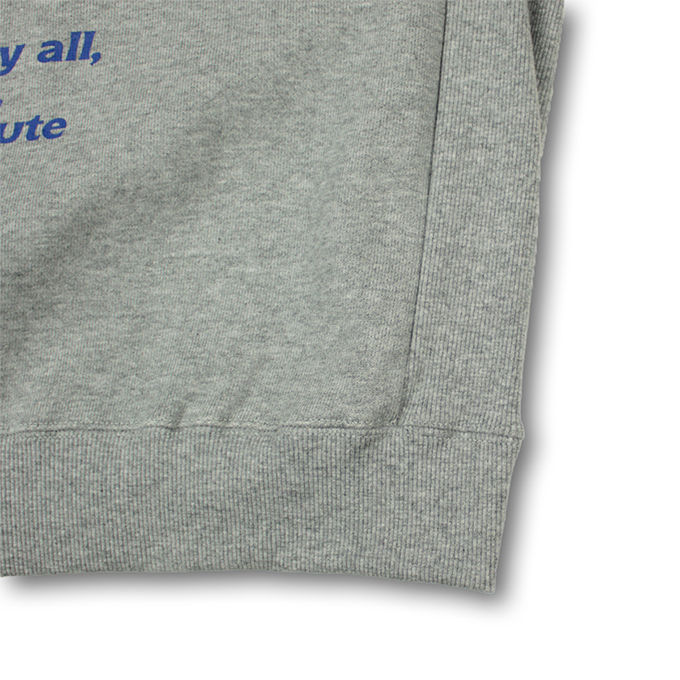 GALFY（ガルフィー） 直球系トレーナー 133004 : ジーンズステーション