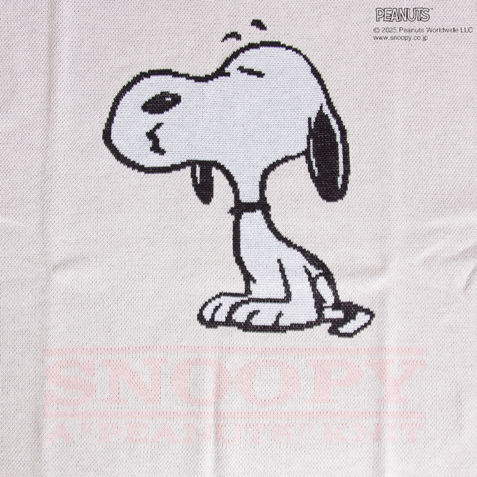 SEQUENZE SEQUENZ シークエンズ TP SNOOPY SUMMER KNIT スヌーピー