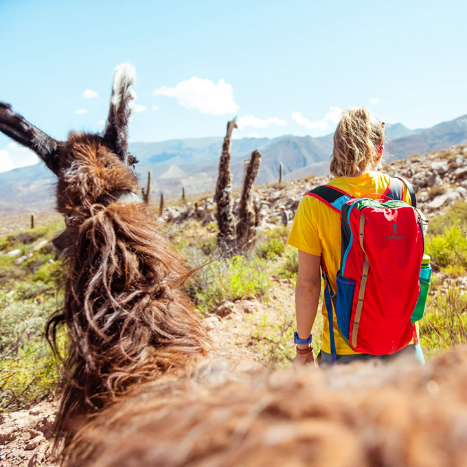 cotopaxi コトパクシ バタク 16L バックパック BATAC 16L BACKPACK DEL DIA 420017 / 23SS ※