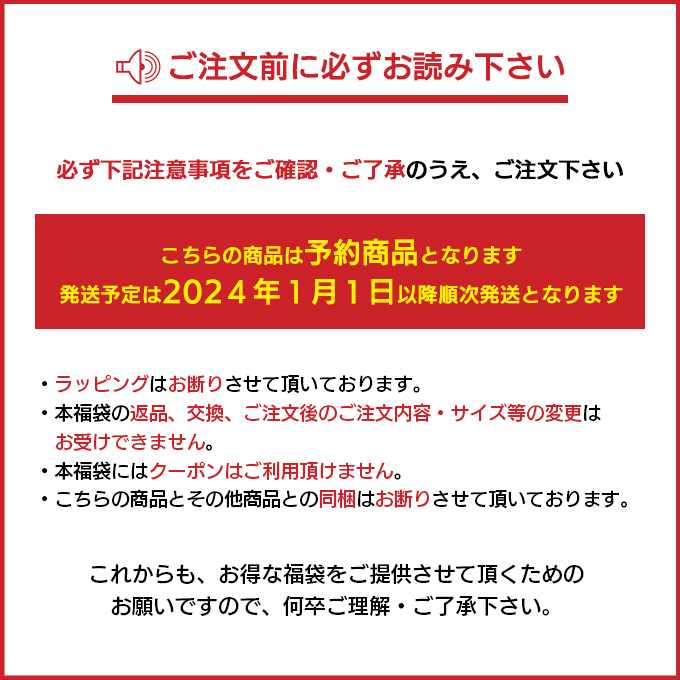 AVIREX アヴィレックス HAPPY BAG 2024 MEN'S 2025 新春福袋