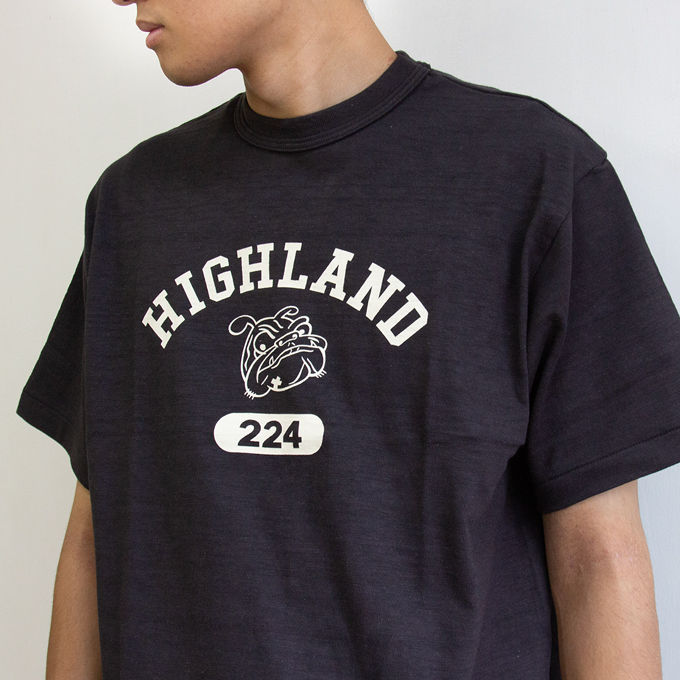 WAREHOUSE（ウエアハウス） ウェアハウス Lot 4601 S/S HIGHLAND Tee