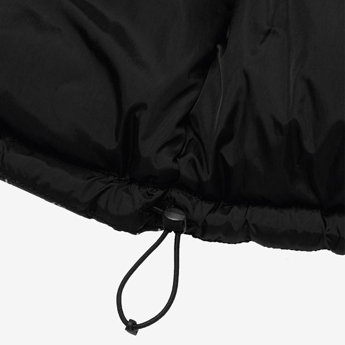 THE NORTH FACE ザ・ノース・フェイス Novelty Nuptse Jacket ノベルティー ヌプシ ジャケット ND92336 /2024AWの画像