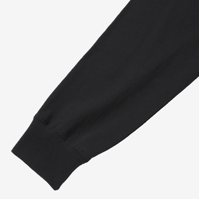THE NORTH FACE ザ・ノース・フェイス L/S Zoo Picker Tee