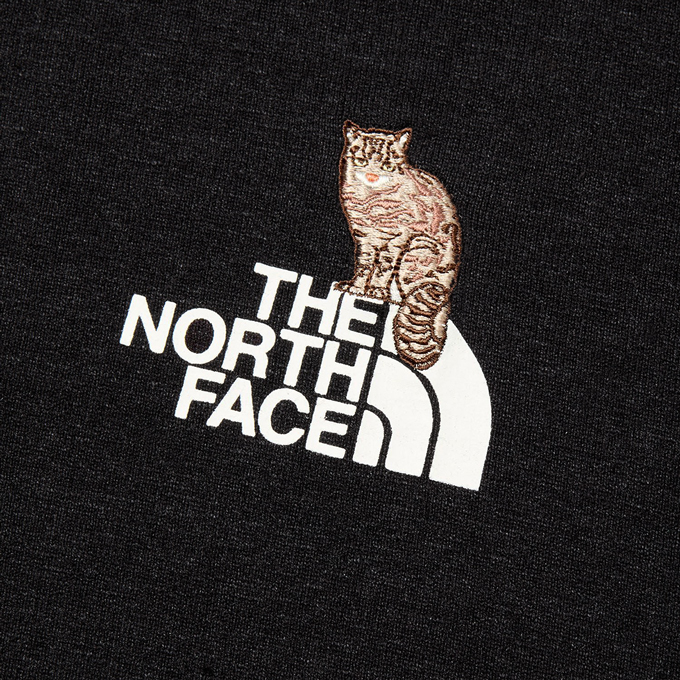 日本製 MLサイズ 2/2mm ロングスリーブ THE NORTH FACE ザ・ノース・フェイス L/S Zoo Picker Tee