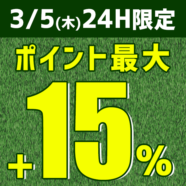 ポイント最大15％☆3/5(木)限り ゴルフクラブセット 初心者 右用