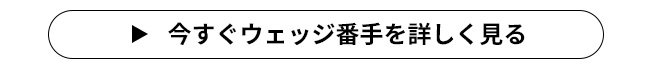 FLIT BOX7 ウェッジ番手の詳細を見る