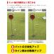 ゴルフボール 4面アライメントボール 3ダース 36球 FLIT BOX RT SPEED ディスタンス ホワイト イエロー ※ 関連画像4