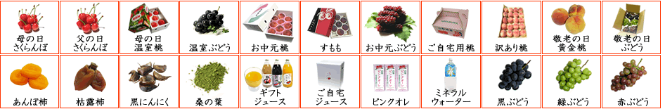 干し柿 お年賀 お歳暮 フルーツ ギフト 柔らかい 柿 かき 御歳暮 枯露柿 御年賀 大箱 特１号 山梨特産 ころ柿