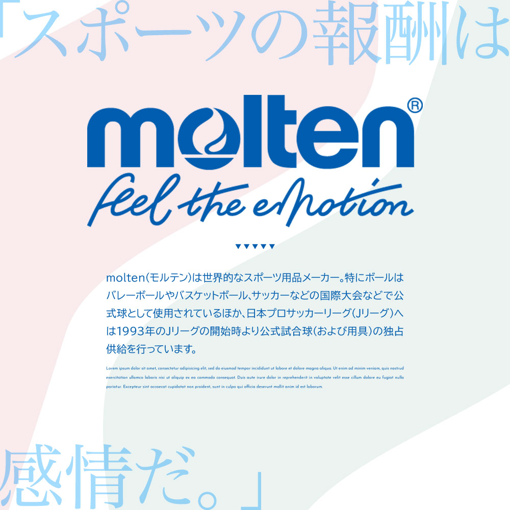 モルテン バレーボール 4号軽量 検定球 フリスタテック レディース キッズ ジュニア 部活 クラブ 一般 ソフト構造 全日本小学生大会公式試合球 V4M5000-L molten | ブランド登録なし | 01