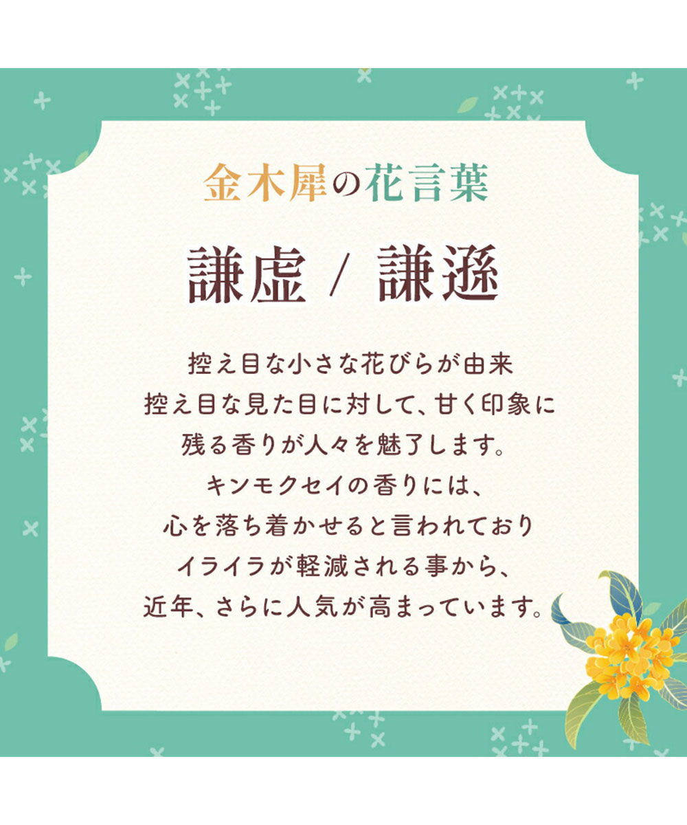 入浴剤 エプソムソルト バスソルト 硫酸マグネシウム リラックス 美容 おうち時間 ミネラル 全身 首 肩 足 腰 関節 金木犀 筋肉痛 inf-16 爆買 | ブランド登録なし | 10