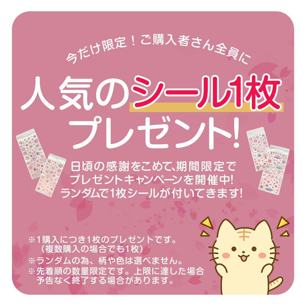 上履き 上靴 日本製 バイオアルファ うわぐつ うわばき 子供 ジュニア 女の子 男の子 幼稚園 保育園 パープル ブラウン ピンク ブルー グリーン 爆買 | MoonStar | 24