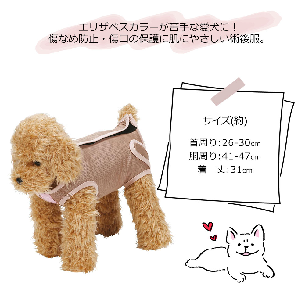 ペット用 術後服 女の子 4号 小型犬 ブラウン メス 雌 抗菌 消臭 手術 ウェア 着せやすい 傷なめ 防止 傷口 保護 ミニーマウス PETCF2 爆買 | スケーター | 07