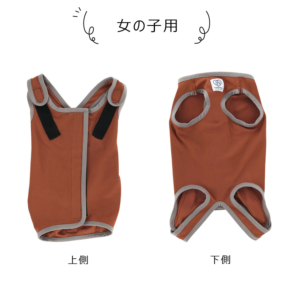 ペット用 術後服 犬 女の子用 4号 ブラウン 手術後 ウェア いぬ わんちゃん 着せやすい 傷なめ防止 傷口 保護 獣医学部 共同開発 PETCF2 爆買 | スケーター | 05