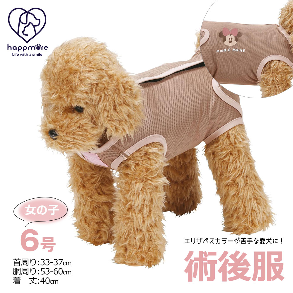 ペット用 術後服 女の子 6号 小型犬 ブラウン メス 雌 抗菌 消臭 手術 ウェア 着せやすい 傷なめ 防止 傷口 保護 ミニーマウス PETCF4 爆買 | スケーター