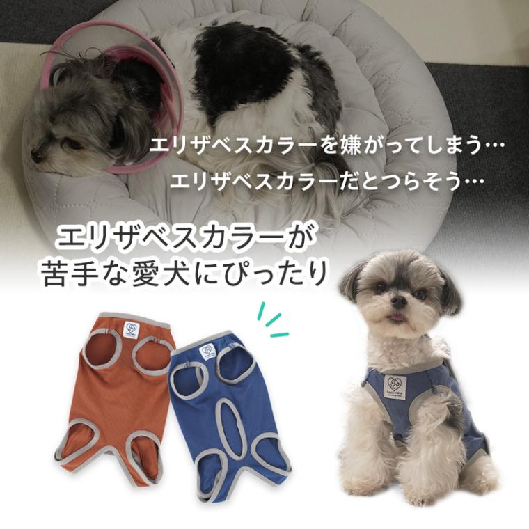ペット用 術後服 犬 男の子用 6号 ネイビー 手術後 ウェア いぬ わんちゃん 着せやすい 傷なめ 防止 傷口 保護 獣医学部 共同開発 PETCM4 | スケーター | 02