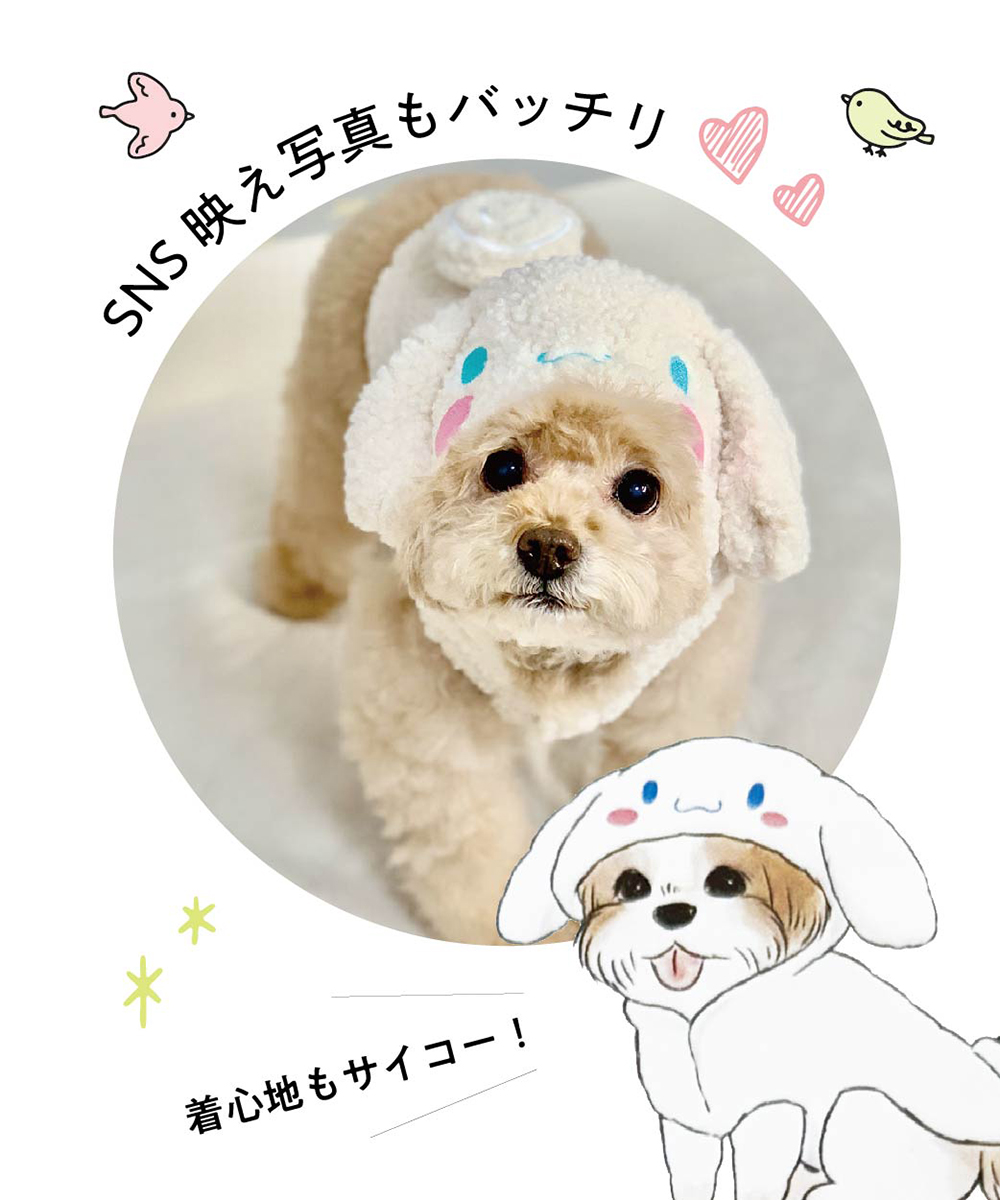 ハローキティ（ペット用品、生き物）（犬種：マルチーズ）のおすすめ