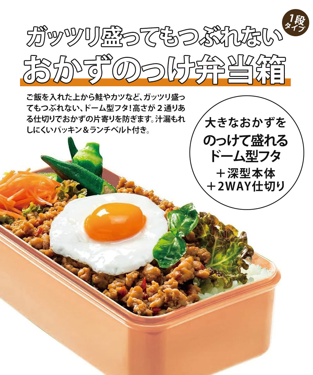 スケーター 弁当箱 580ml レディース おかずのっけ弁当箱 電子レンジ