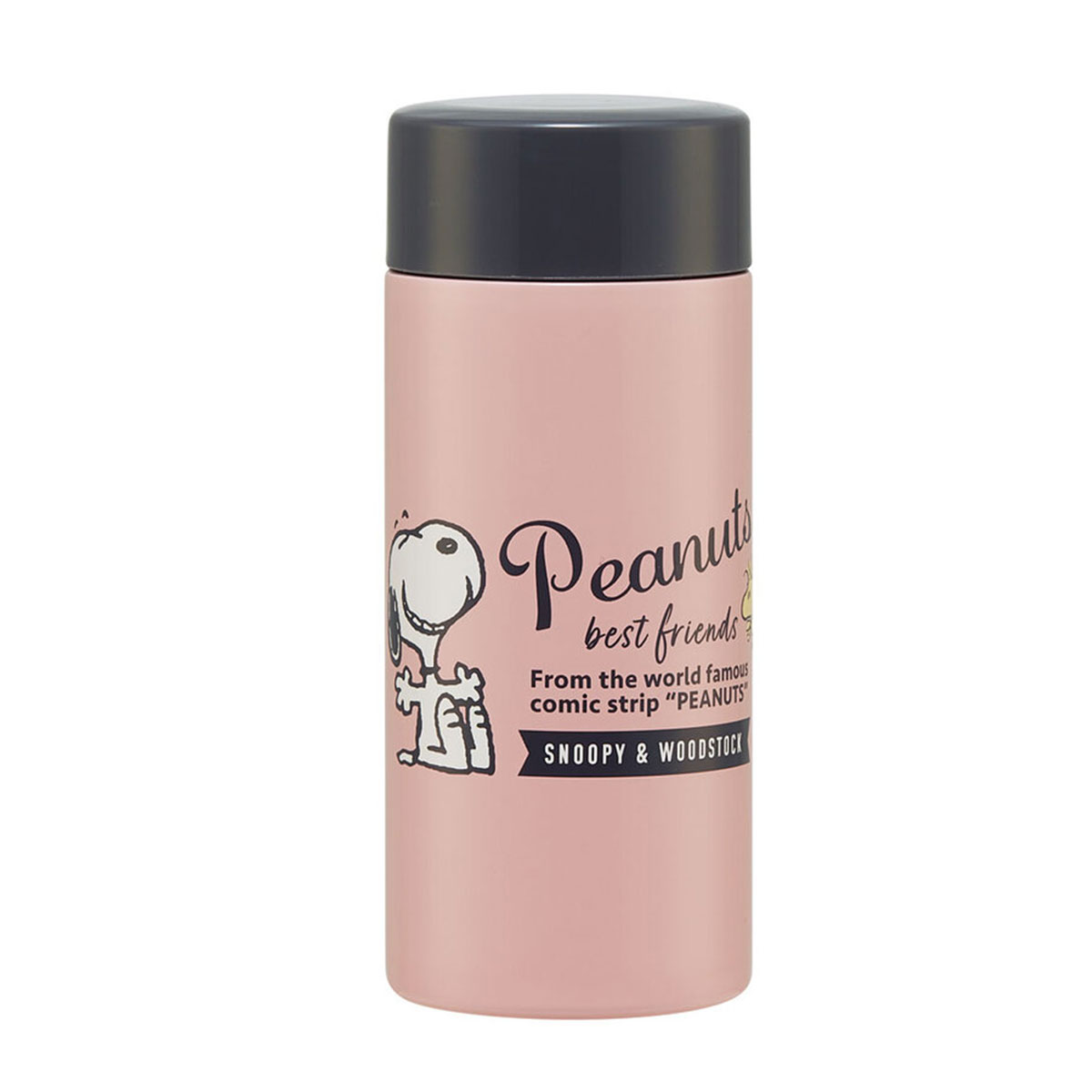 ステンレスボトル 250ml 軽量 保冷 保温 広口 水筒 かわいい キャラクター 小さめ 子供 プーさん ムーミン トトロ 250ml STYL2 | スケーター | 04