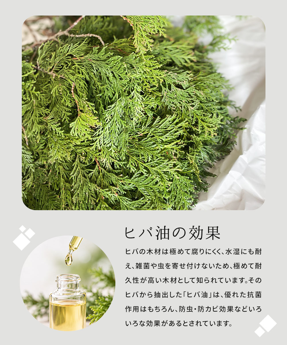 虫除けスプレー 除菌スプレー 500ml 虫除け 虫対策 除菌 消臭 ごみ箱 玄関 軒下 靴箱 キッチン ソファ 日本製 ヒバ スプレー 253 | ニーズ | 02