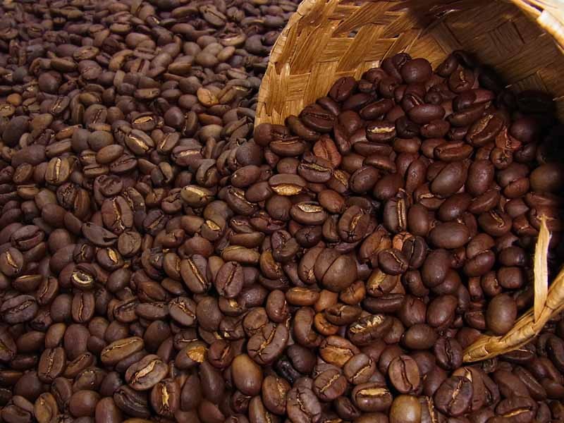 マンデリンG-1　4kg（400ｇを10袋） マンデリンG1: コーヒー | コーヒー通販サイト 珈琲問屋