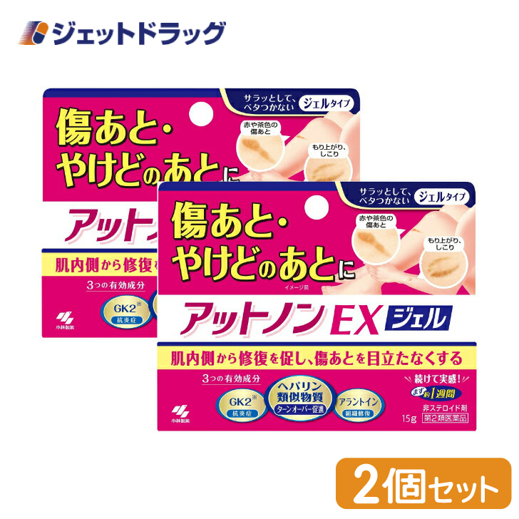 【第2類医薬品】〔かぶれ 皮膚炎〕 アットノンEX ジェル 15g ×2個｜jetdrug