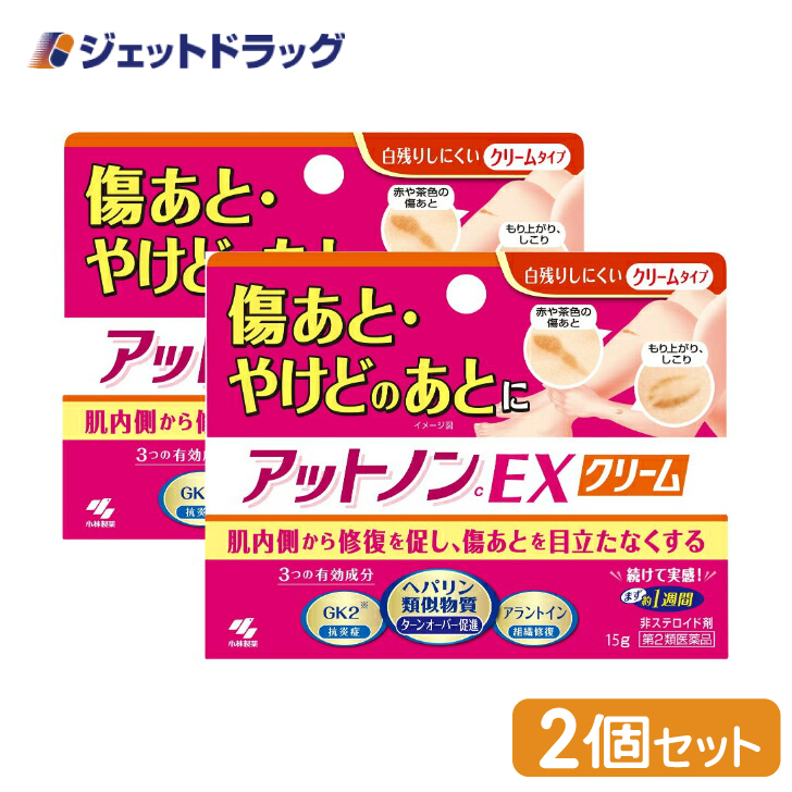 【第2類医薬品】〔かぶれ 皮膚炎〕 アットノンEX クリーム 15g ×2個｜jetdrug