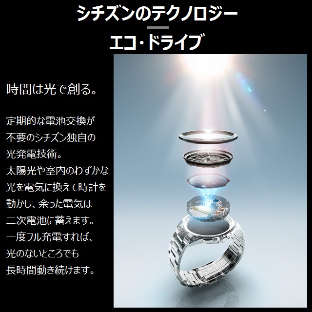 CITIZEN COLLECTION 新品!正規品 COLLECTION/シチズンコレクション