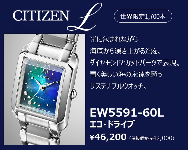 クレジットカード決済のみ 正規新品 '23-6 UNITE with BLUE CITIZEN L