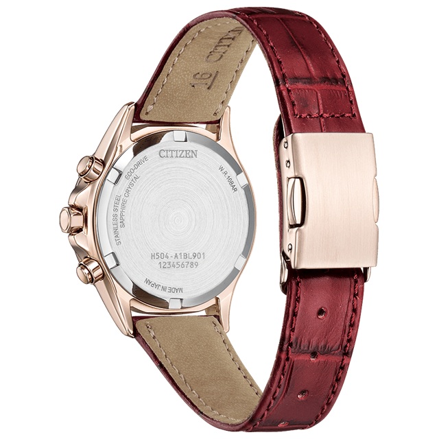 basic コレクション '26-2 限定1,100本 正規新品 日本製 CITIZEN xC