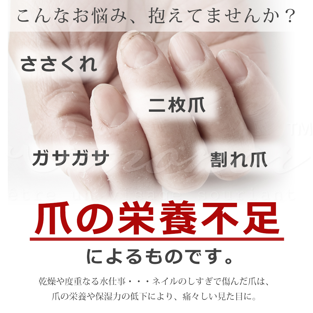 商品説明"