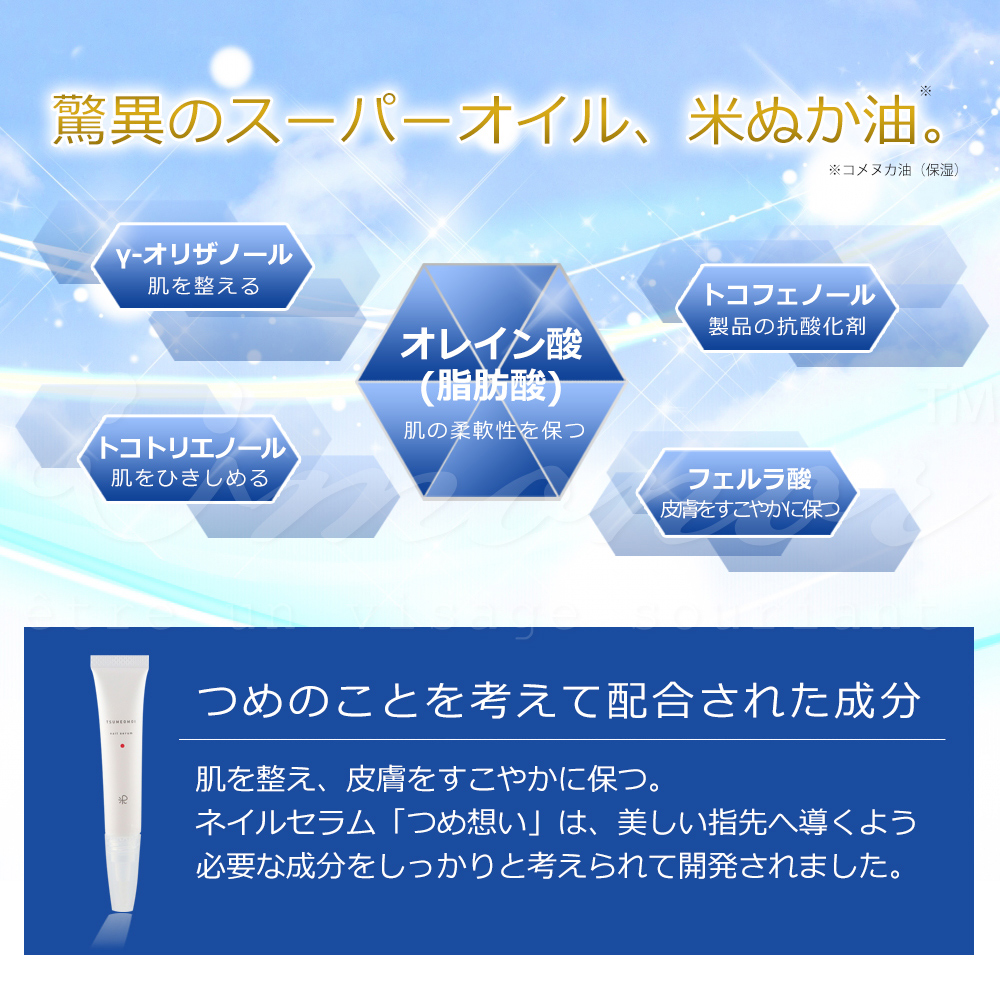 商品説明"