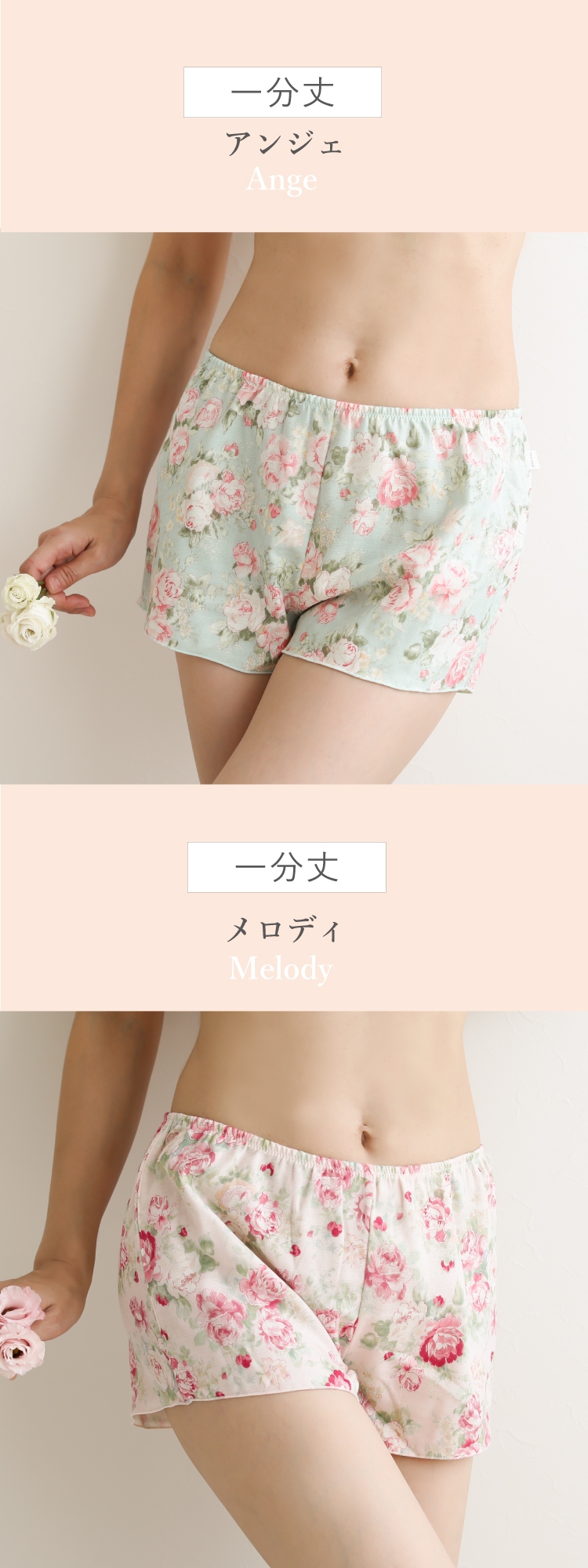 ラインナップ
