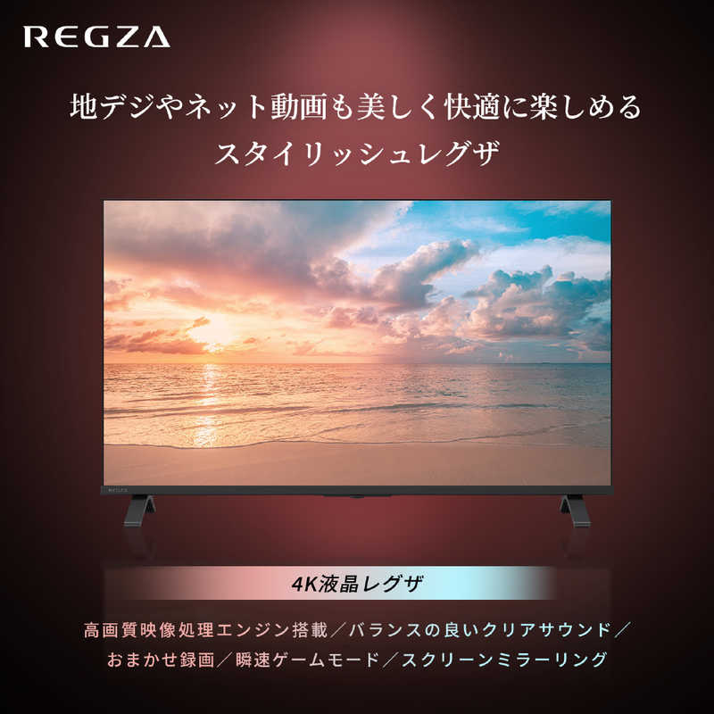 REGZA（レグザ） TVS REGZA 43V4Kチューナー内蔵4K対応液晶テレビ