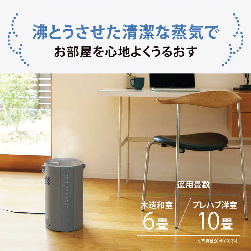 象印 加湿器 スチーム式 長時間加湿 フィルター不要 3.0L EE-DF35-HA