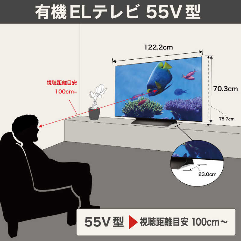 LGエレクトロニクス LG 有機ELテレビ [ 55V型 / 4K対応 / 4Kチューナー
