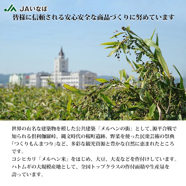 国産 はとむぎ 精白粒 砕粒 500g 3袋セット とやまのはとむぎ