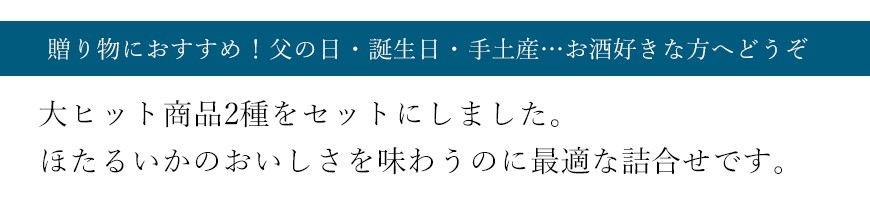 人気のヒット商品2種を詰合せ