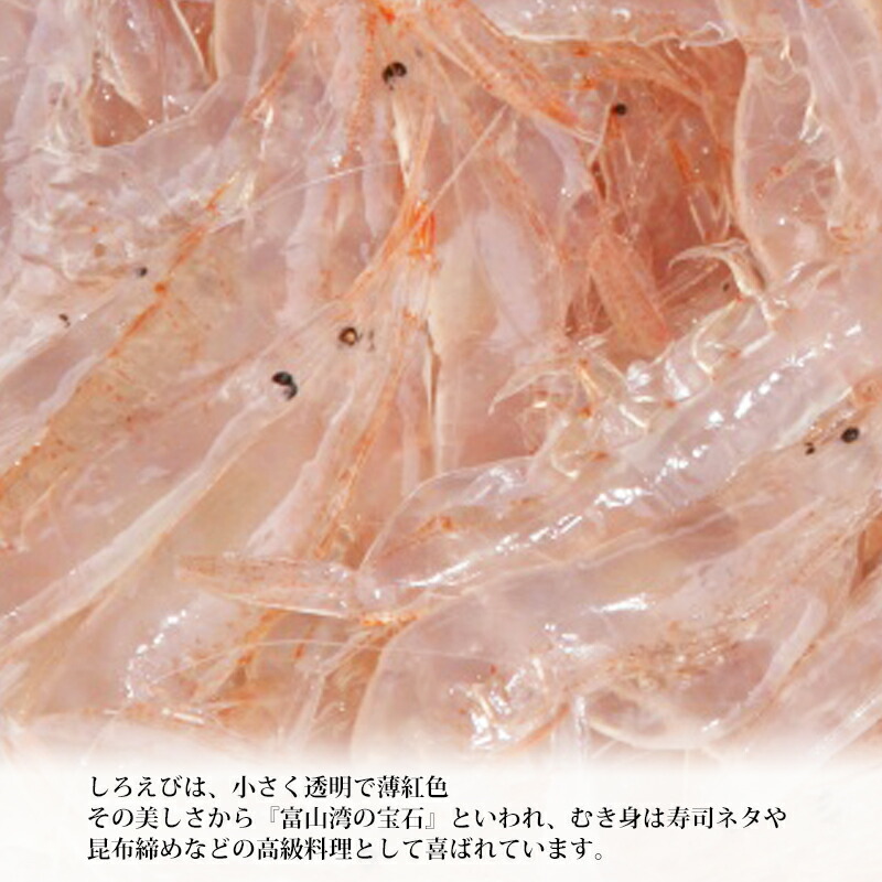 富山湾の宝石といわれ、寿司ネタや昆布締めなど高級料理として喜ばれています。