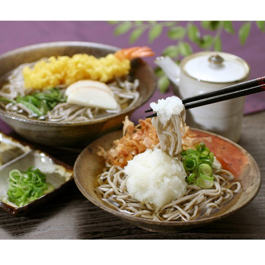 贈答 ギフト 自家挽きそば 越前 10食セット J-10 そばつゆ付