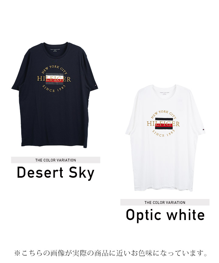 クーポン対象外】TOMMY HILFIGER トミー ヒルフィガー Tシャツ メンズ