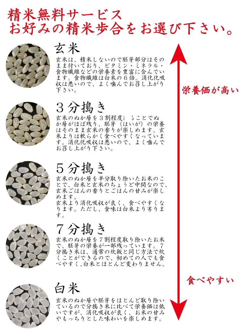 コシヒカリ 新米 令和6年産 無農薬 玄米 無化学肥料 送料無料