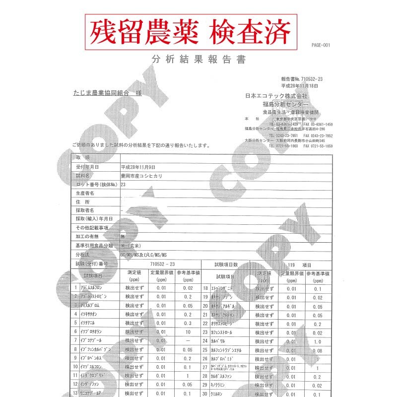 コシヒカリ 令和6年産 新米 10kg 兵庫県 但馬産 5kg×2袋 食味 特 コシヒカリ 令和6年産 新米 10kg 兵庫県 但馬産 5kg×2袋 食味 特