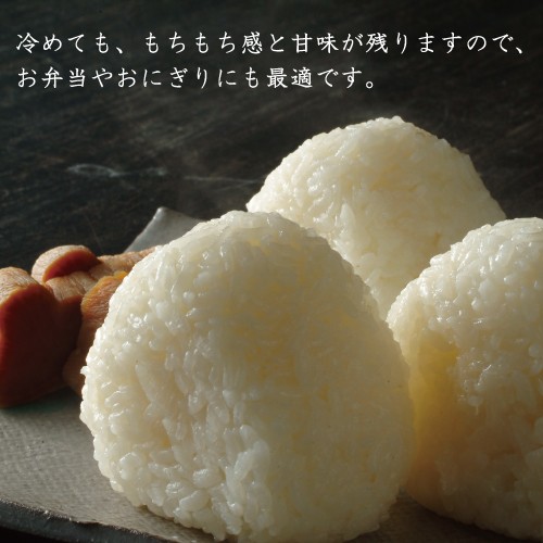 コシヒカリ 令和6年産 新米 10kg 兵庫県 但馬産 5kg×2袋 食味 特