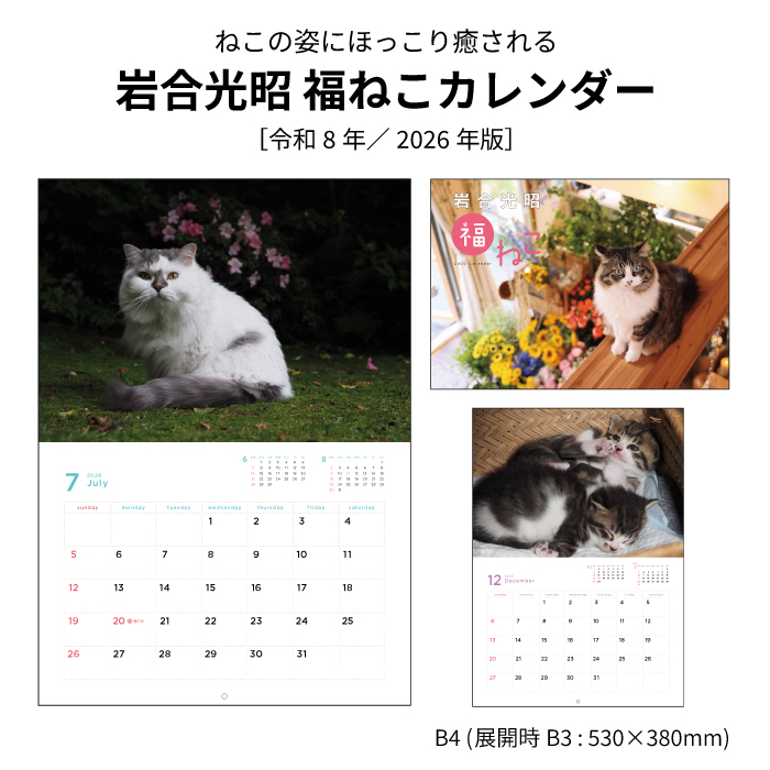 カレンダー 2026年 壁掛け 岩合光昭 福ねこカレンダー 岩合 福ねこ