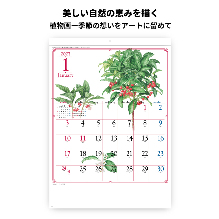 カレンダー 2027 壁掛け ブル-ミング デイズ SG277 2027年 おしゃれ 花