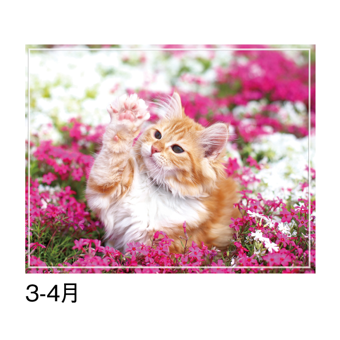 新品未使用すずきあきこネコ壁掛け花器ねこ猫 新品未使用すずきあきこネコ壁掛け花器ねこ猫 【公式通販】