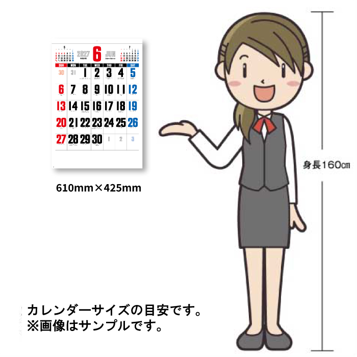 カレンダー 2027 壁掛け 3色デラックス文...の詳細画像4