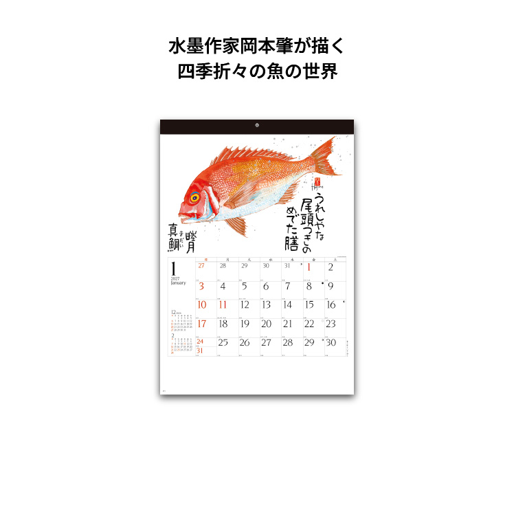 カレンダー 2027 壁掛け 魚彩時記 〜岡本...の詳細画像3