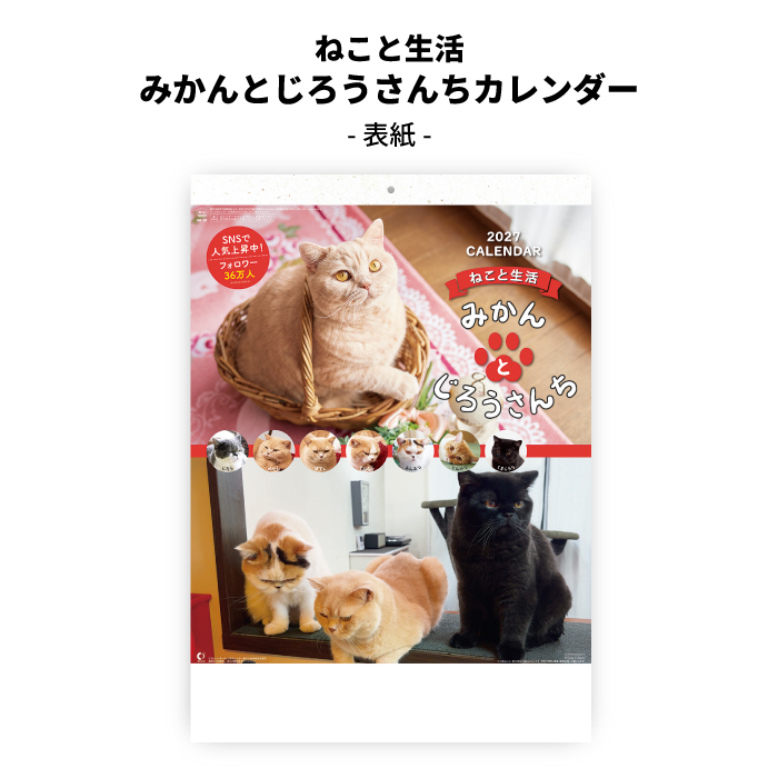 新日本カレンダー カレンダー 2027 壁掛け ねこと生活 みかんとじろう
