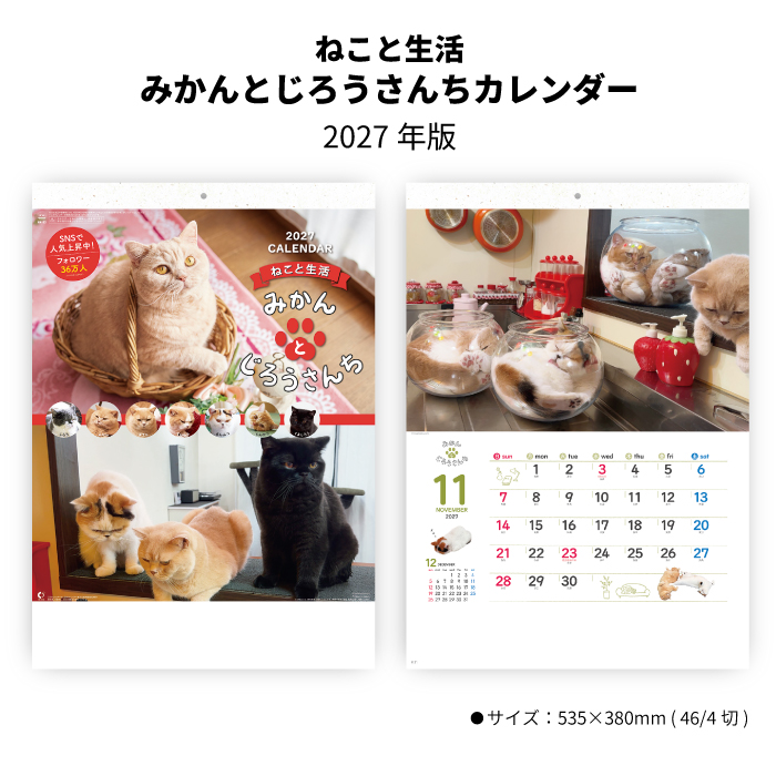新日本カレンダー カレンダー 2027 壁掛け ねこと生活 みかんとじろう